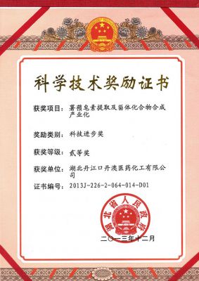 技術(shù)獎勵